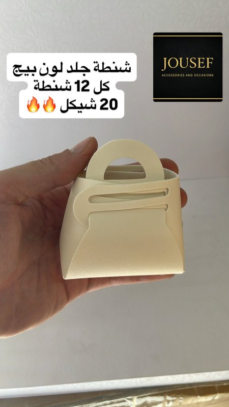 شنتة جلد بيج