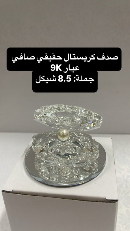 صدفة كريستال 💎