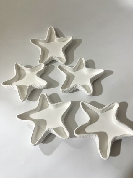 كونكريت نجمة بحر