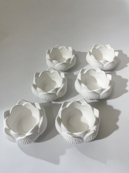 كونكريت وردة